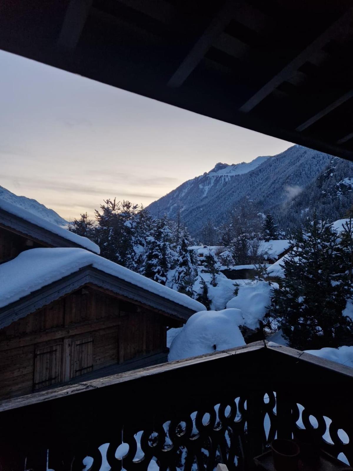 Appartement Ensoleille Aux Tines, Vue Massif Chamonix Ngoại thất bức ảnh