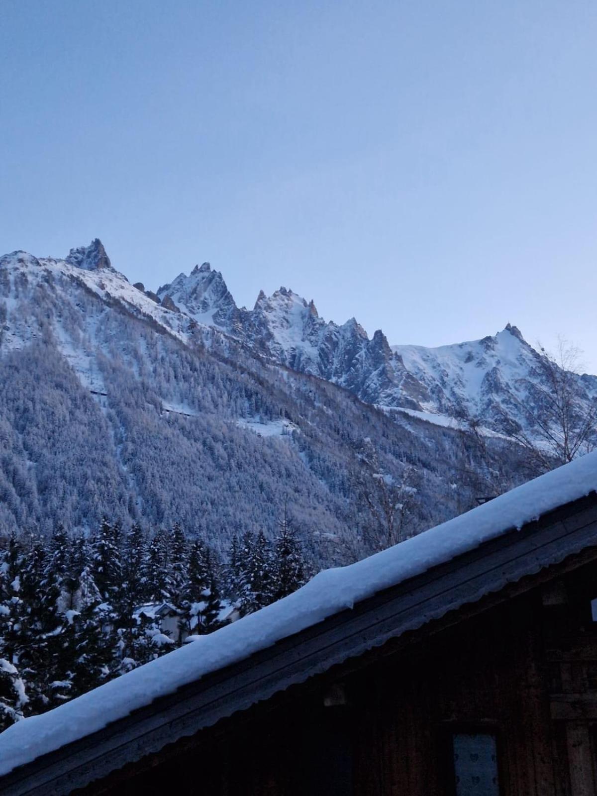 Appartement Ensoleille Aux Tines, Vue Massif Chamonix Ngoại thất bức ảnh